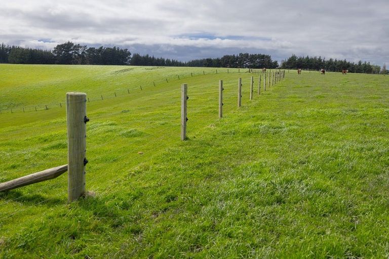 Photo of property in 234 Sandon Road, Feilding, 4779