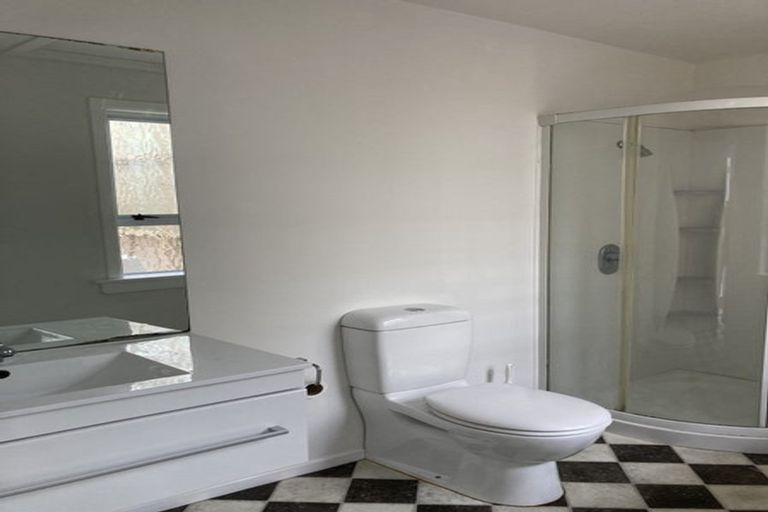 Photo of property in 43 Honiana Te Puni Street, Aro Valley, Wellington, 6021