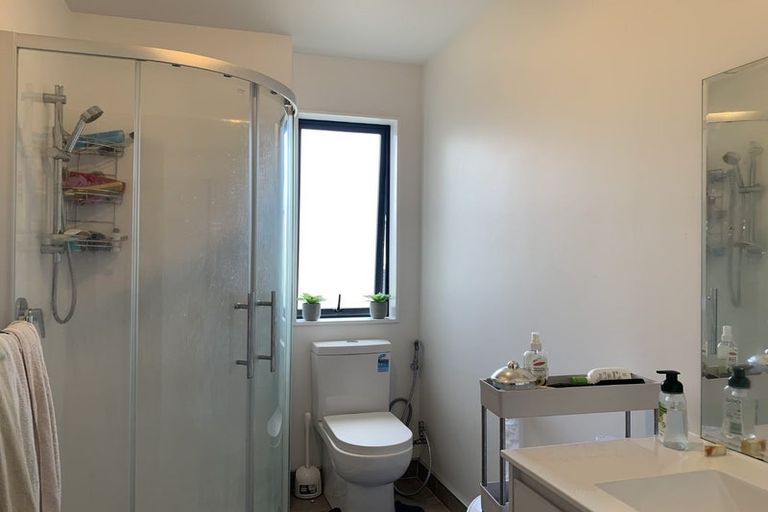 Photo of property in 49 Gecko Road, Hobsonville, Auckland, 0616