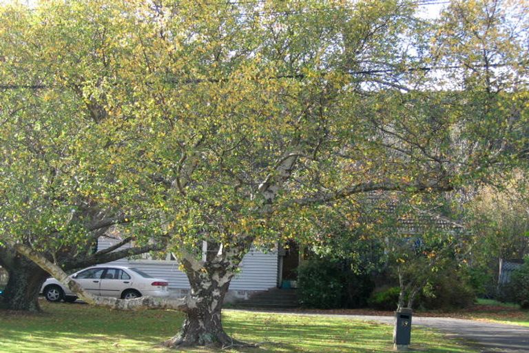 Photo of property in 39 Montgomery Street, Stokes Valley, Lower Hutt, 5019