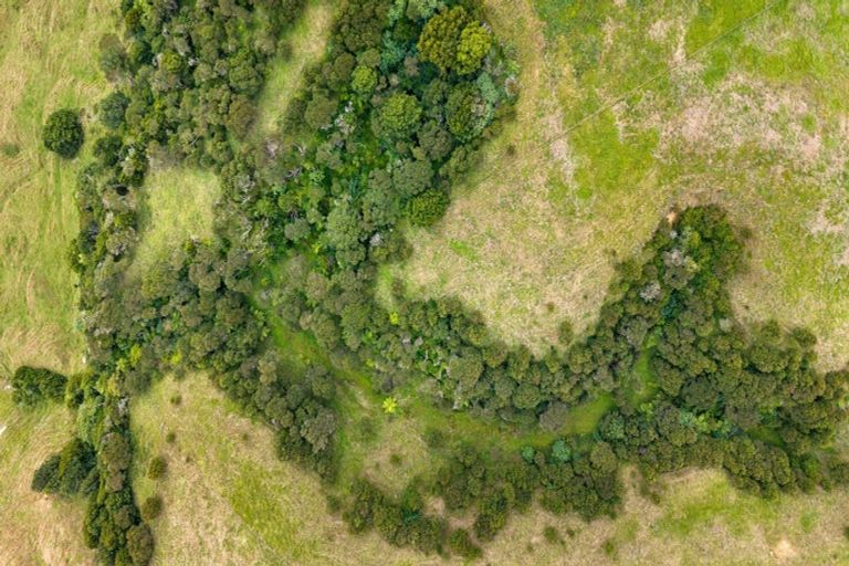 Photo of property in 352 Kauri Road, Onewhero, 2697