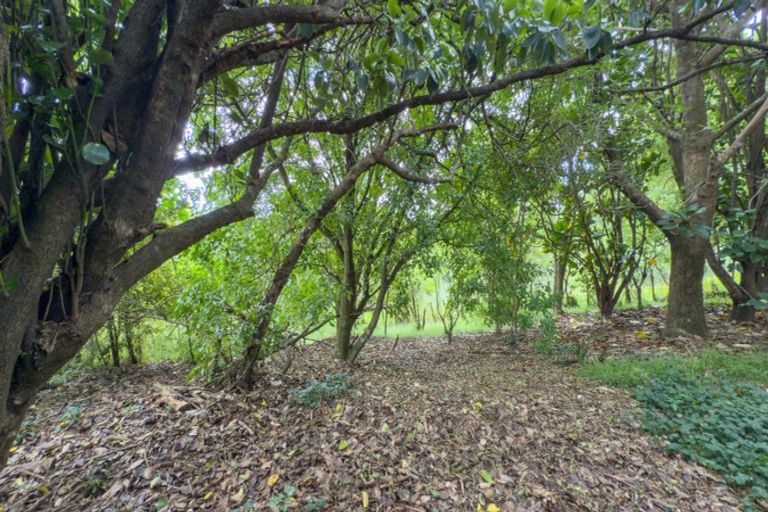 Photo of property in 41b Totara Valley Road, Thames, 3578