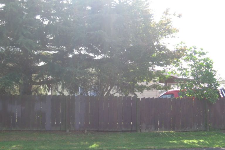 Photo of property in 9 Hinerau Street, Henderson, Auckland, 0612