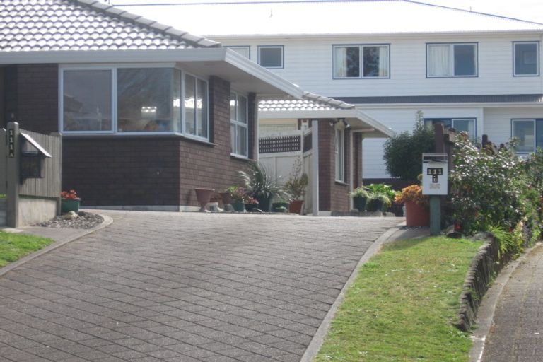 Photo of property in 111a Fourteenth Avenue, Tauranga South, Tauranga, 3112