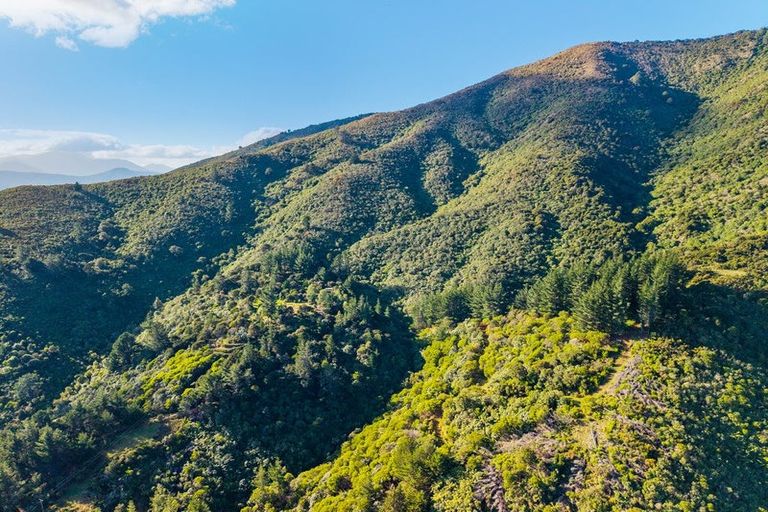 Photo of property in 165 Boons Valley Road, Waikawa, Picton, 7220