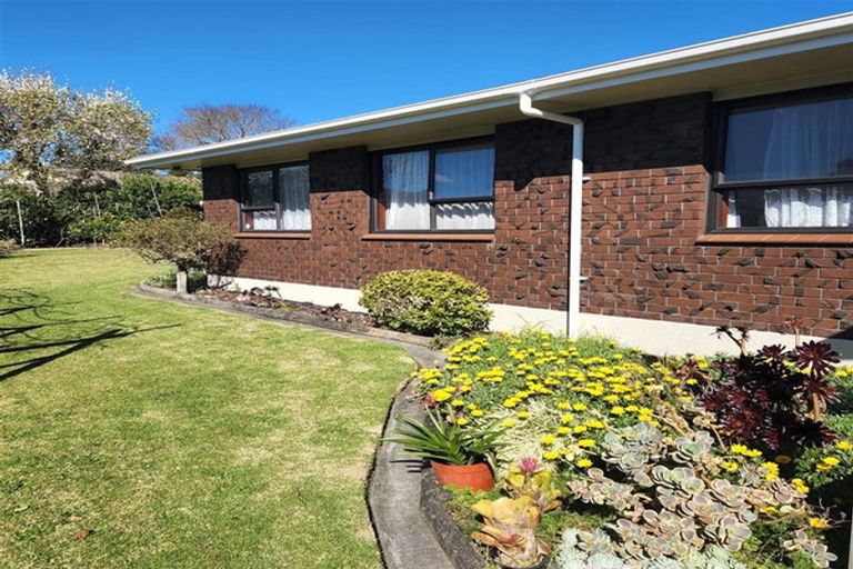 Photo of property in 98 Boucher Avenue, Te Puke, 3119