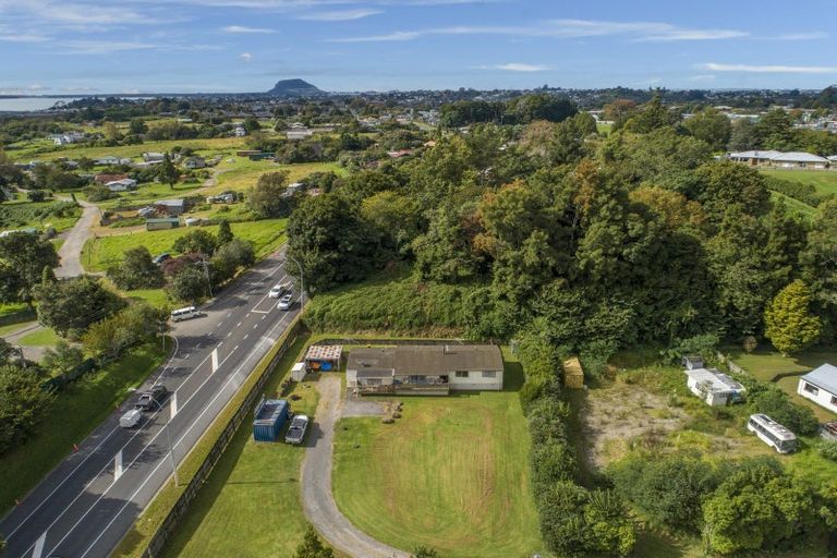 Photo of property in 49b Taniwha Place, Bethlehem, Tauranga, 3176