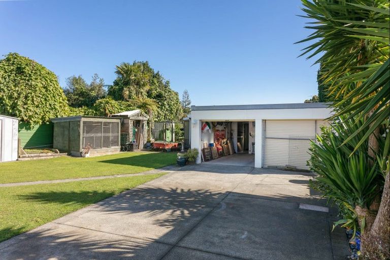 Photo of property in 14 Kennedy Street, Mangapapa, Gisborne, 4010