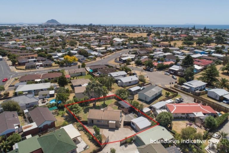 Photo of property in 101 Gloucester Road, Mount Maunganui, 3116