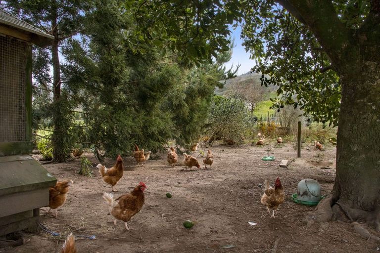 Photo of property in 51 Symonds Street, Waihi, 3610