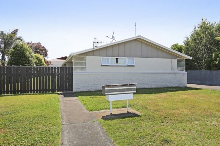 Photo of property in 307 Lyndon Road West, Hastings, 4122