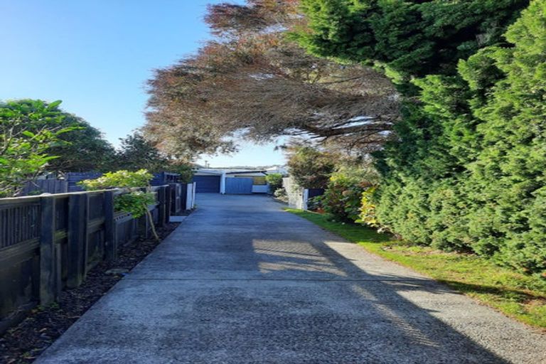 Photo of property in 59 Rex Street, Miramar, Wellington, 6022