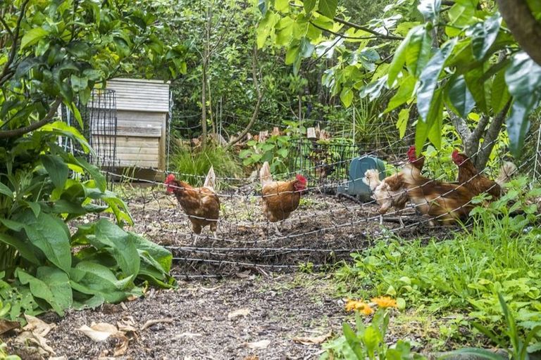 Photo of property in 6 Young Street, Mahurangi East, Warkworth, 0982