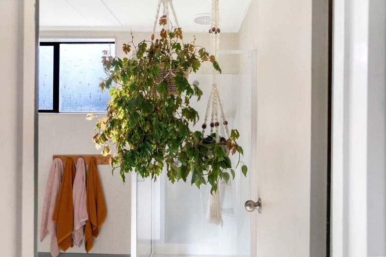 Photo of property in 3 Joseph Street, Gore, 9710