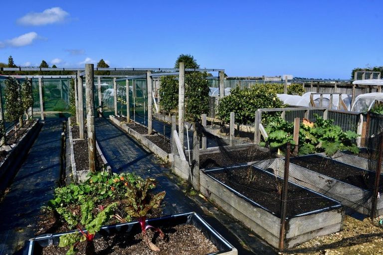 Photo of property in 91a Oparara Road, Karamea, 7893