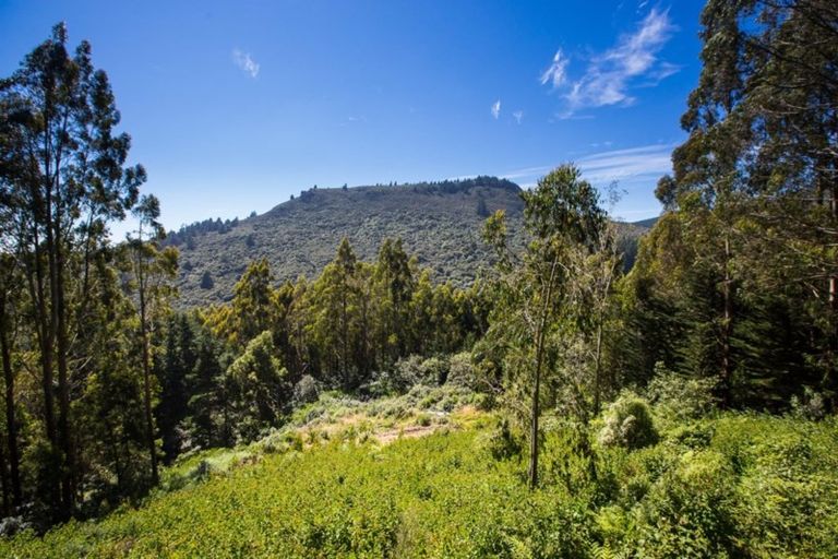 Photo of property in 533 Mount Cargill Road, Mount Cargill, Waitati, 9085