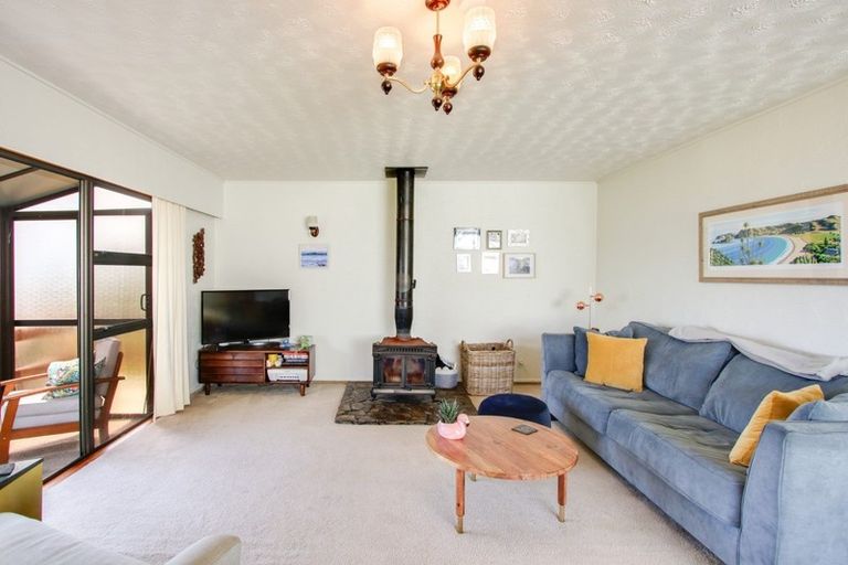 Photo of property in 28 Hospital Terrace, Hospital Hill, Napier, 4110