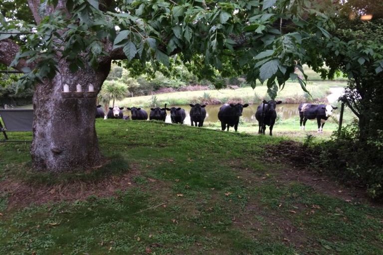 Photo of property in 3668 Cambridge Road, Leamington, Cambridge, 3495