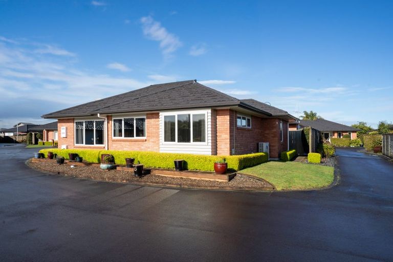 Photo of property in 11 Walter Court, Cambridge, 3434