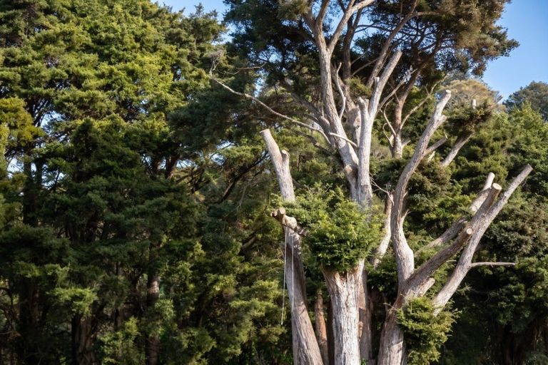 Photo of property in 427 Tinui Valley Road, Tinui Valley, Tinui, 5894