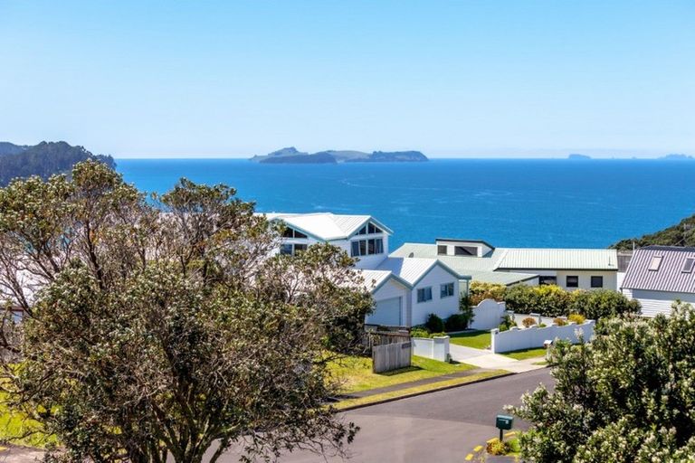 Photo of property in 442 Onemana Drive, Onemana, Whangamata, 3691