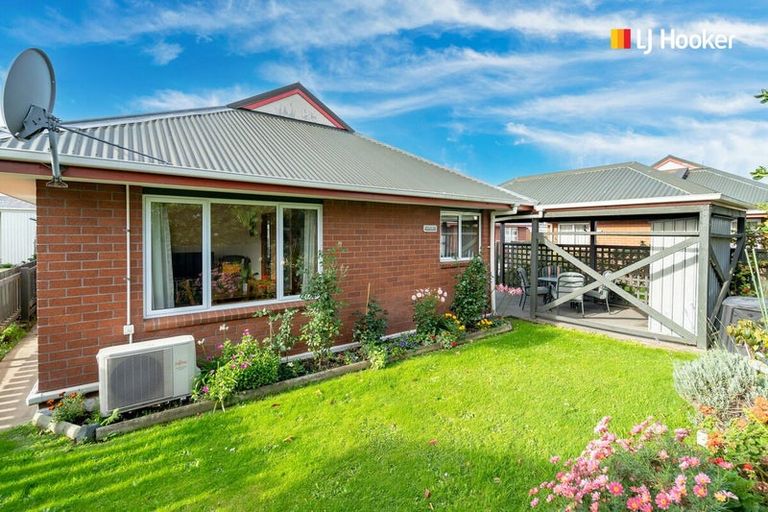 Photo of property in 176c Melbourne Street, South Dunedin, Dunedin, 9012