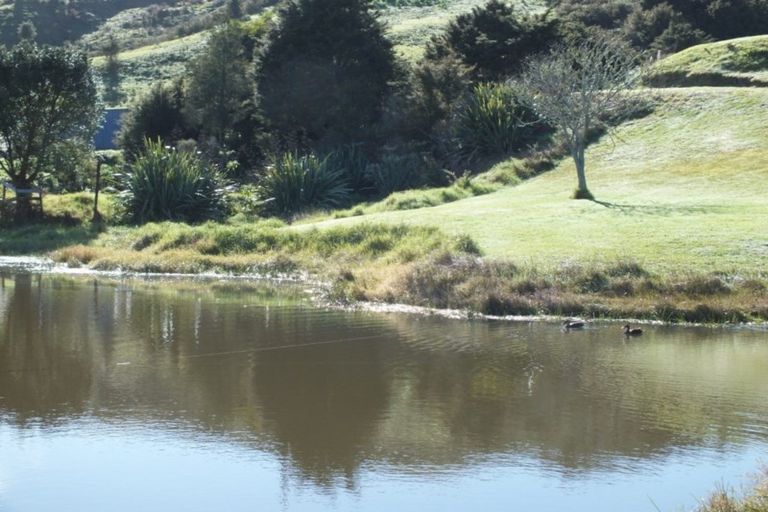 Photo of property in 69d George Street, Hikurangi, 0114