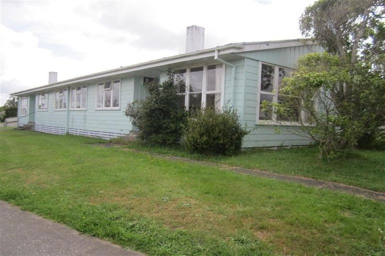 Photo of property in 31-33 Hinemoa Street, Levin, 5510