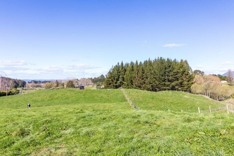 Photo of property in 49 Palmer Mill Road, Wairakei, Taupo, 3384