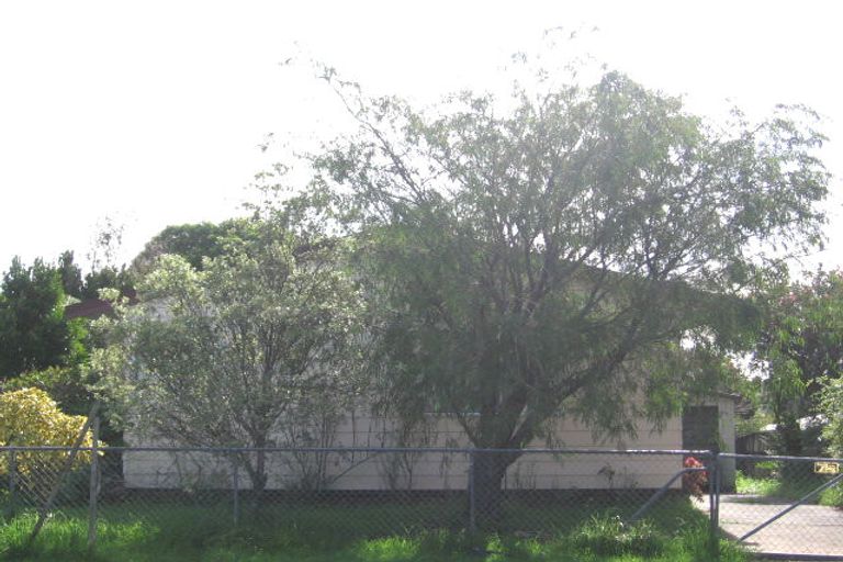 Photo of property in 11 Hinerau Street, Henderson, Auckland, 0612