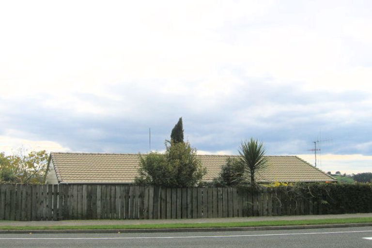 Photo of property in 175 Cambridge Road, Tauranga, 3110