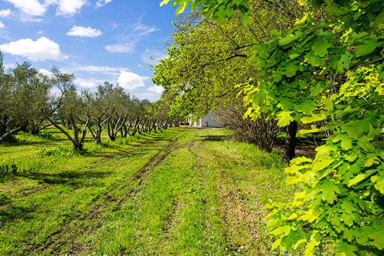 Photo of property in 144 Makaraka Road, Makaraka, Gisborne, 4071