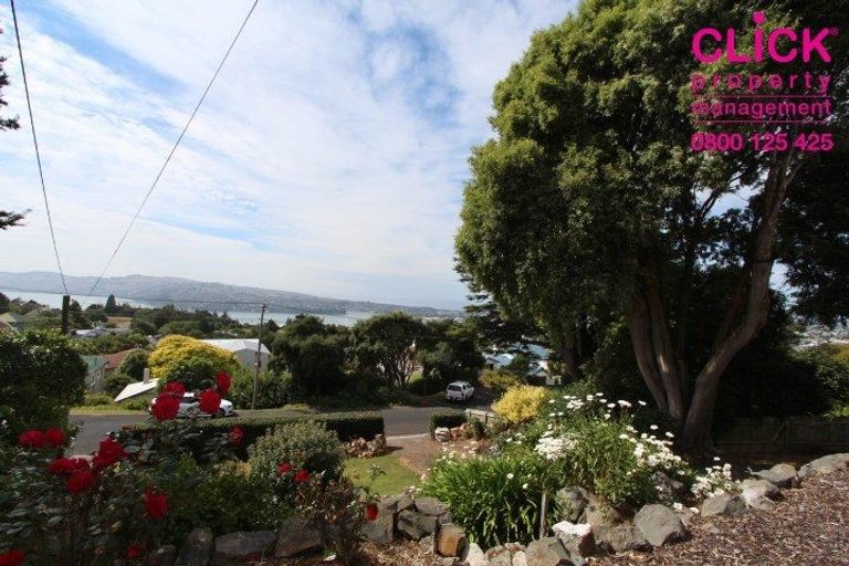 Photo of property in 11 Hart Street, Belleknowes, Dunedin, 9011