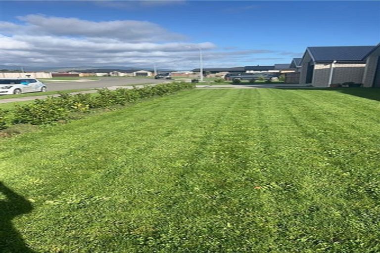 Photo of property in 67 Tainui Street, Levin, 5510