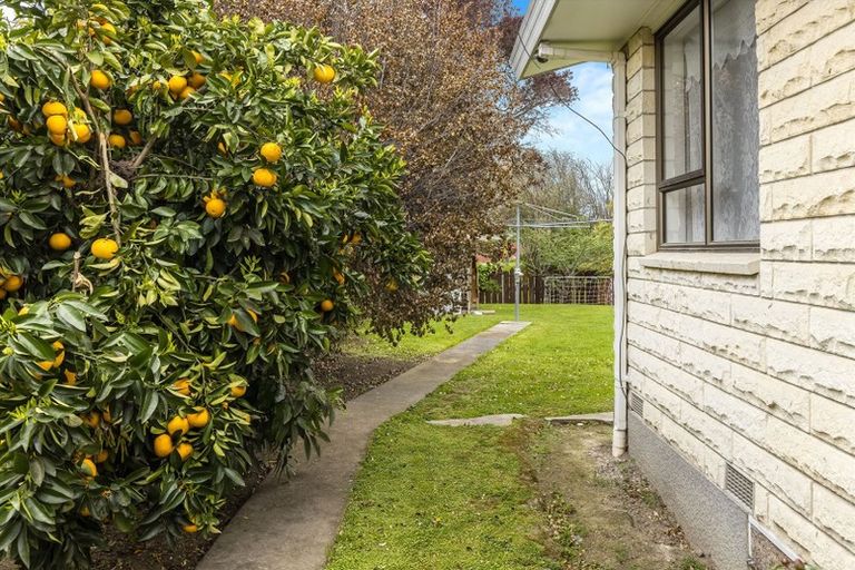 Photo of property in 8 Owen Place, Springlands, Blenheim, 7201