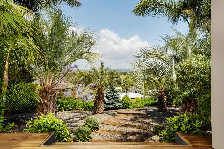 Photo of property in 54 La Colina Place, Bethlehem, Tauranga, 3110