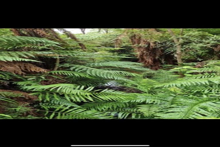 Photo of property in 8 Leith Crescent, Greymouth, 7805