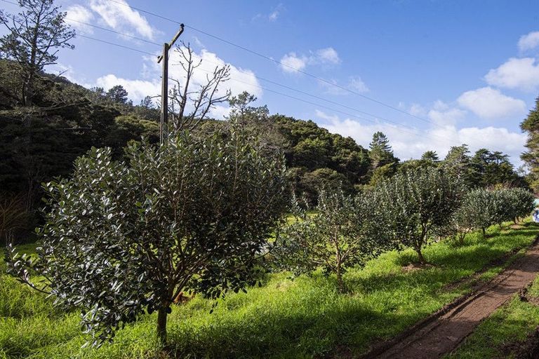 Photo of property in 74 Waiparera Road, Parua Bay, 0192