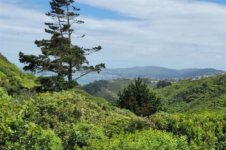 Photo of property in 18 Miles Crescent, Newlands, Wellington, 6037