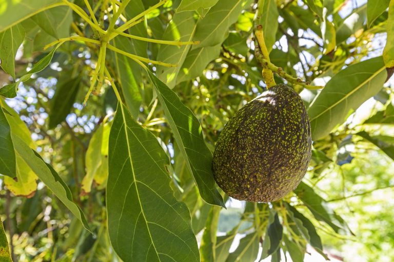 Photo of property in 502 Okete Road, Raglan, 3295