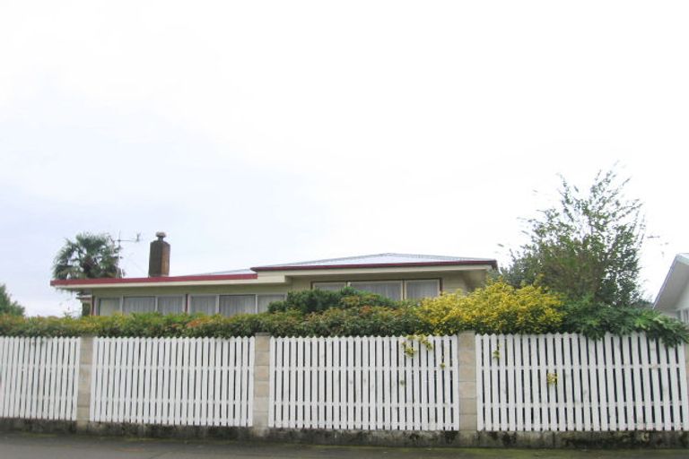 Photo of property in 16 Lerwick Street, Tamatea, Napier, 4112