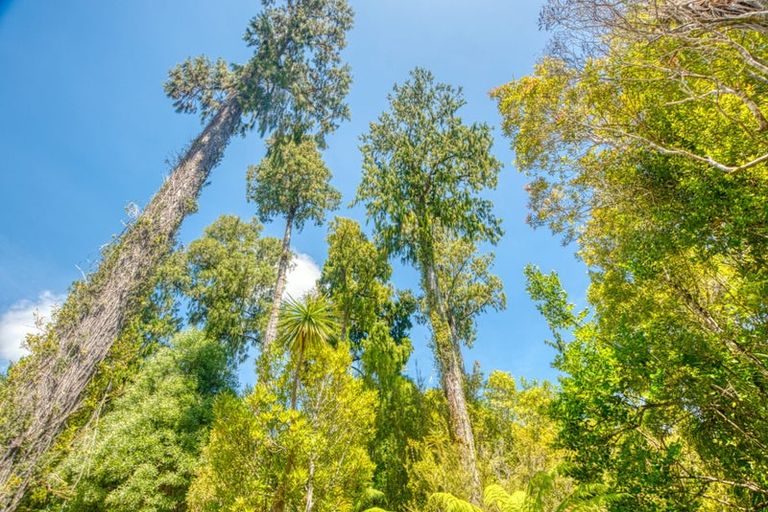 Photo of property in 215 Clifton Road, Kaiata, Greymouth, 7805