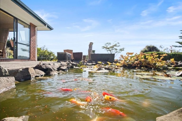 Photo of property in 204c Tram Gully Road, Manukau Heads, Waiuku, 2684