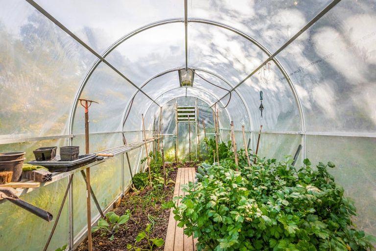 Photo of property in 47 Constable Road, Muriwai, Waimauku, 0881