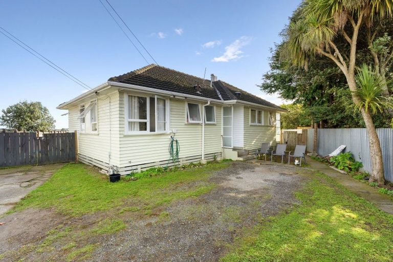 Photo of property in 24 Mahoe Street, Levin, 5510