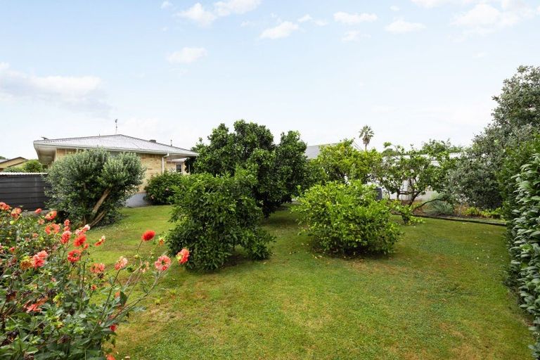 Photo of property in 38 Taylor Terrace, St Andrews, Hamilton, 3200