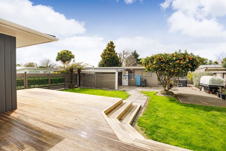 Photo of property in 393 Ruahine Street, Terrace End, Palmerston North, 4410