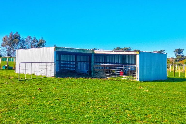 Photo of property in 83 Bushy Park Road, Kai Iwi, Whanganui, 4574