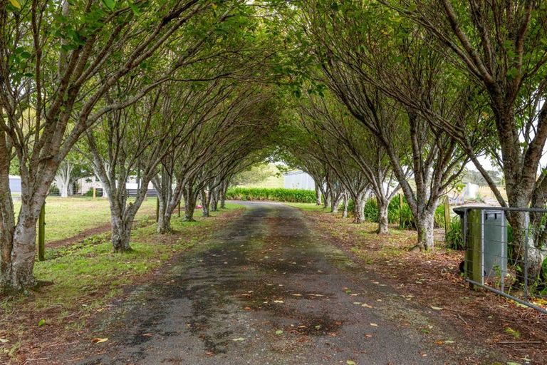 Photo of property in 460 Hurford Road, Hurford, New Plymouth, 4374