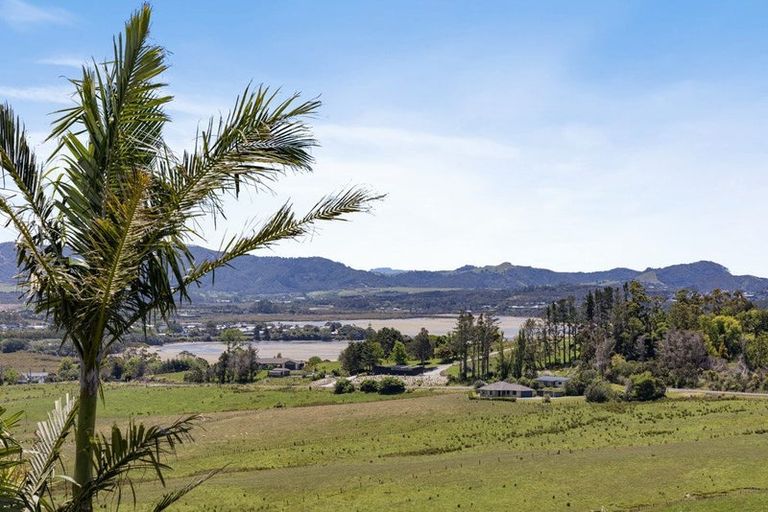 Photo of property in 1683 Tomarata Road, Mangawhai, Wellsford, 0975